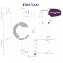 Wildcat Chamber on floor map