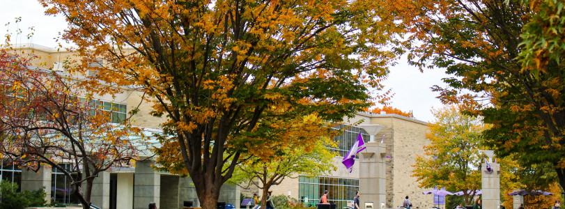 Fall Foliage