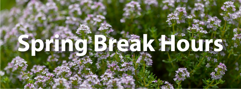 Image of field of purple flowers with the text "Spring Break Hours."